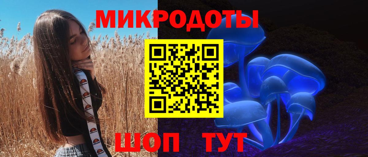 Псилоцибиновые грибы мицелий Лабинск